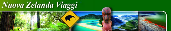 Nuova Zelanda Viaggi